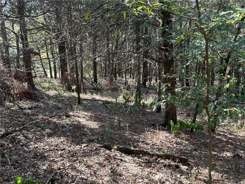 31. 91 Acres  W Clark Chapel  Rd