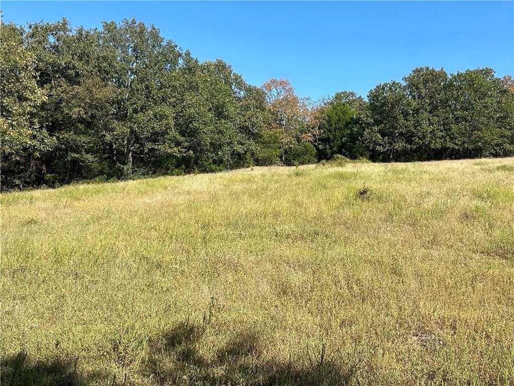 41. 91 Acres  W Clark Chapel  Rd