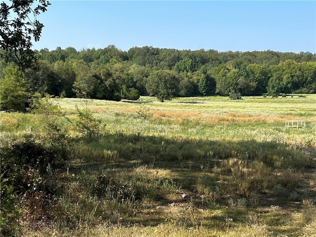 36. 91 Acres  W Clark Chapel  Rd