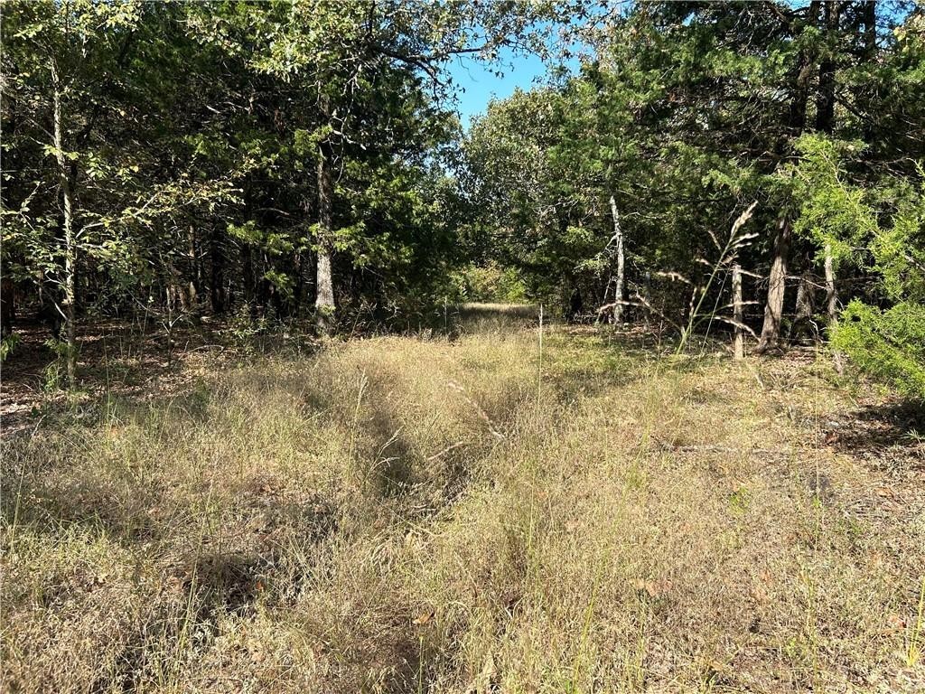 21. 91 Acres  W Clark Chapel  Rd