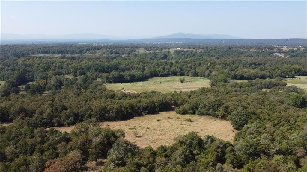 15. 91 Acres  W Clark Chapel  Rd