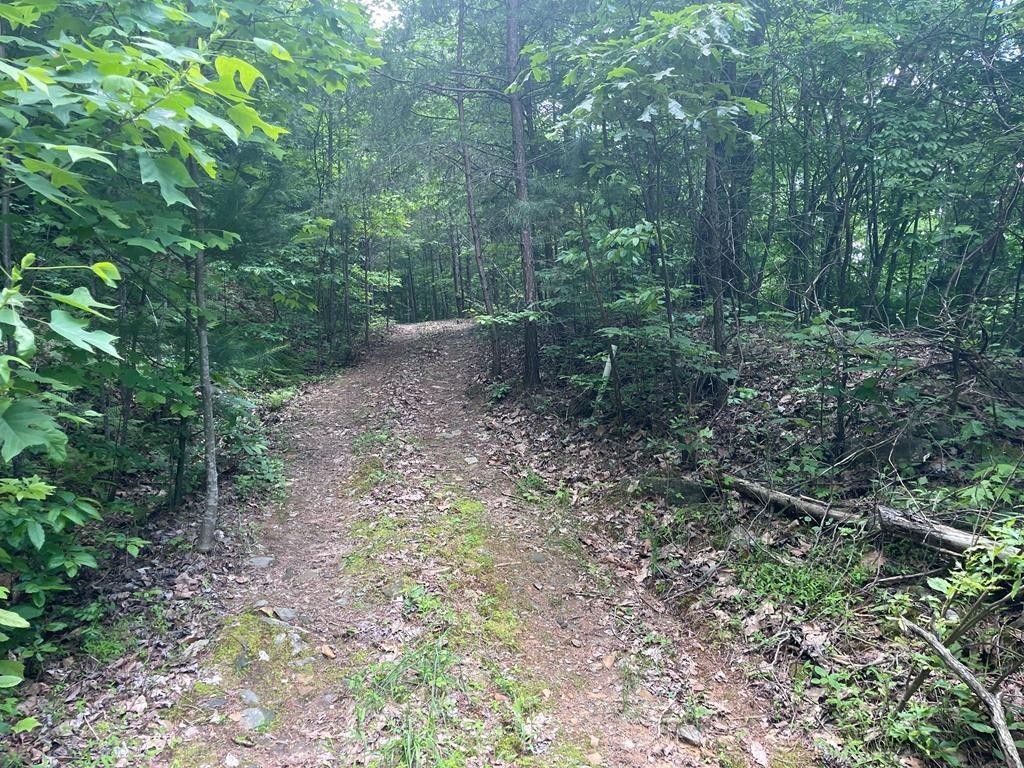 2. 0000 Fawn Ridge Trail