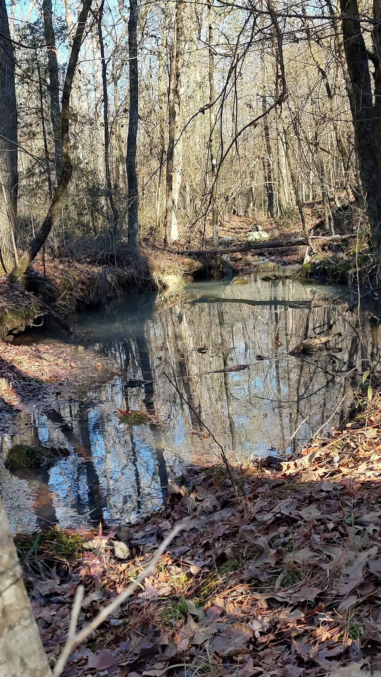 1. Tract 2 Trout Creek Road