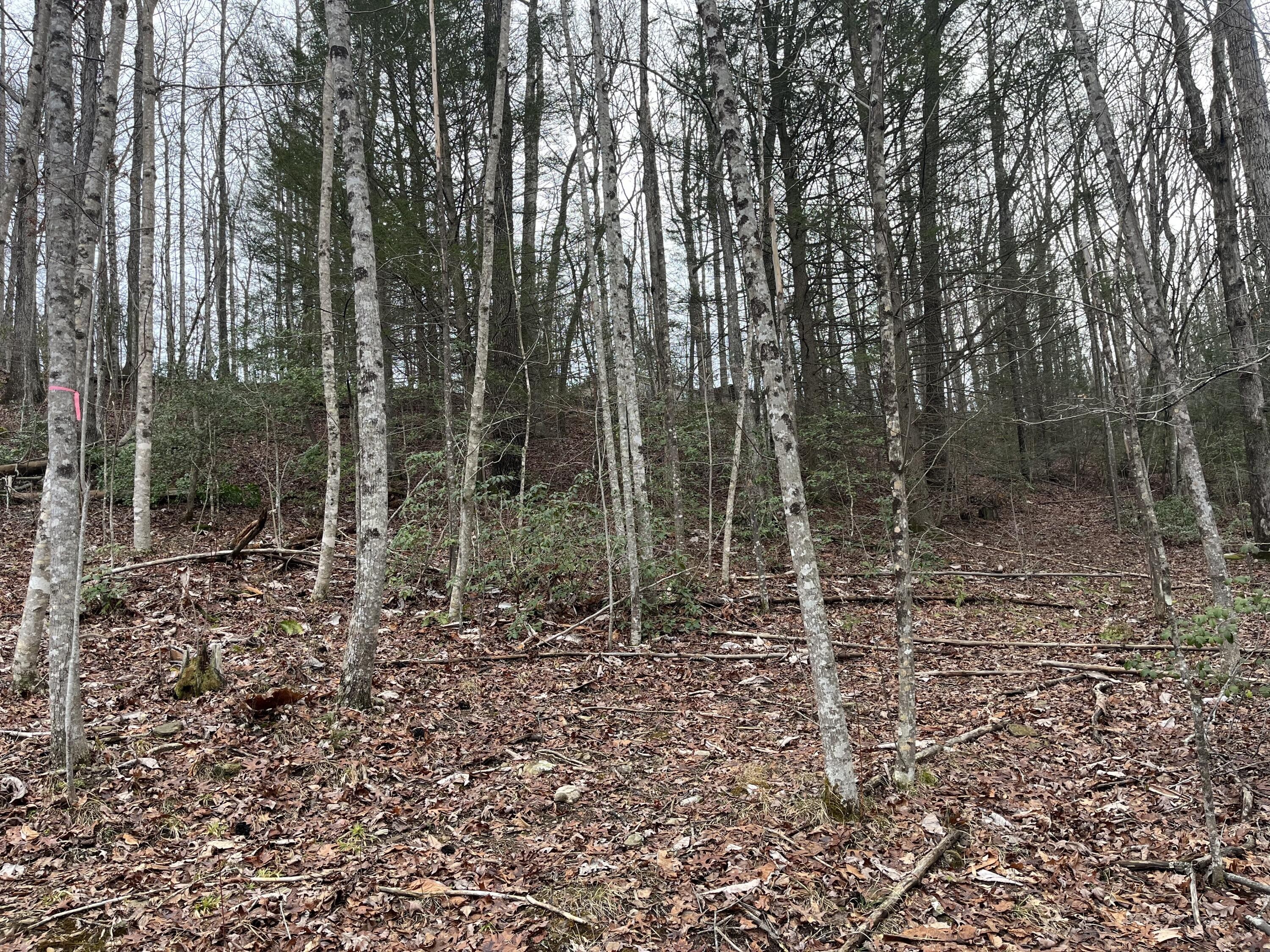 16. Lot 1 Woods Bend Subdivision