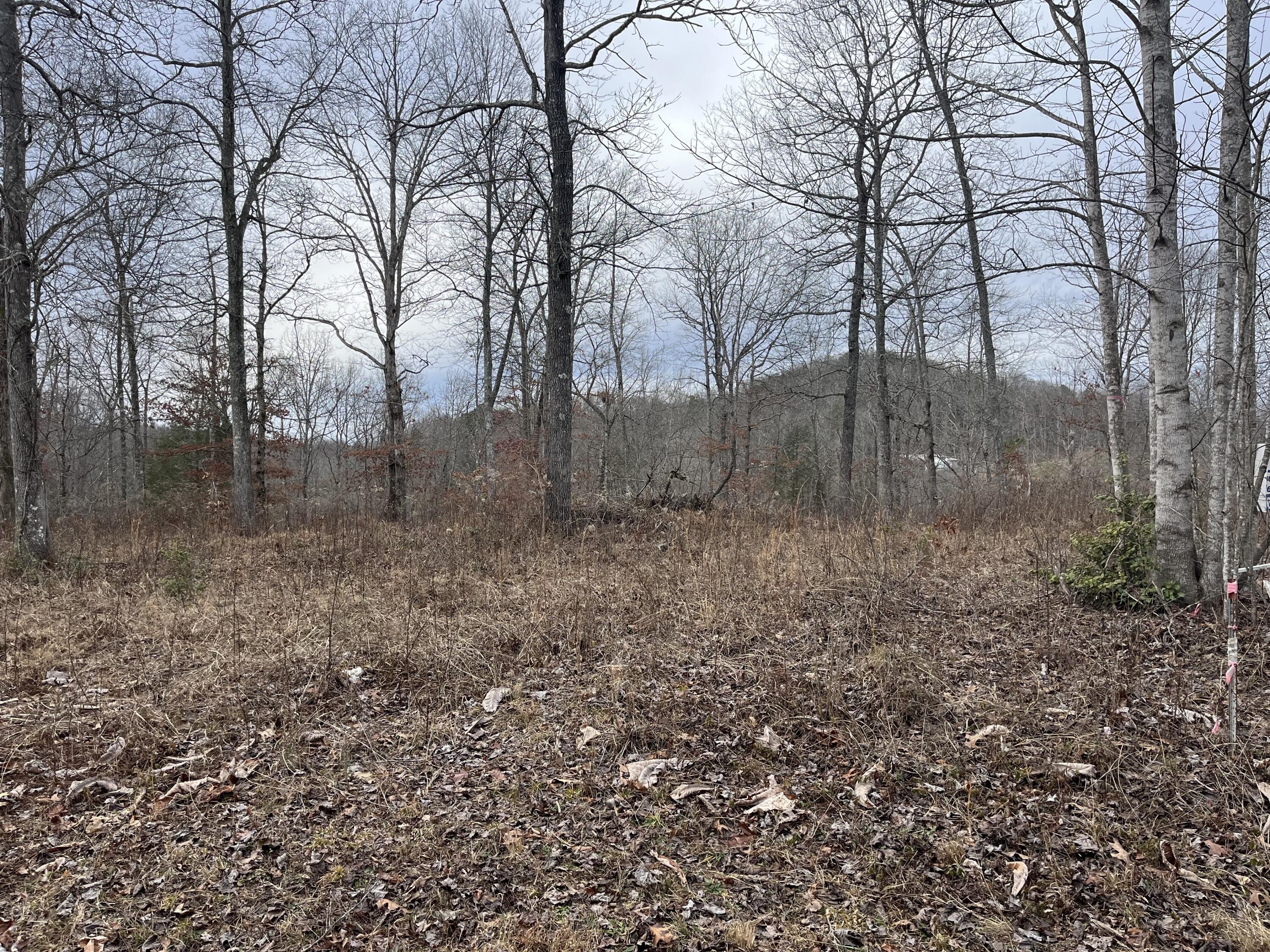 2. Lot 1 Woods Bend Subdivision