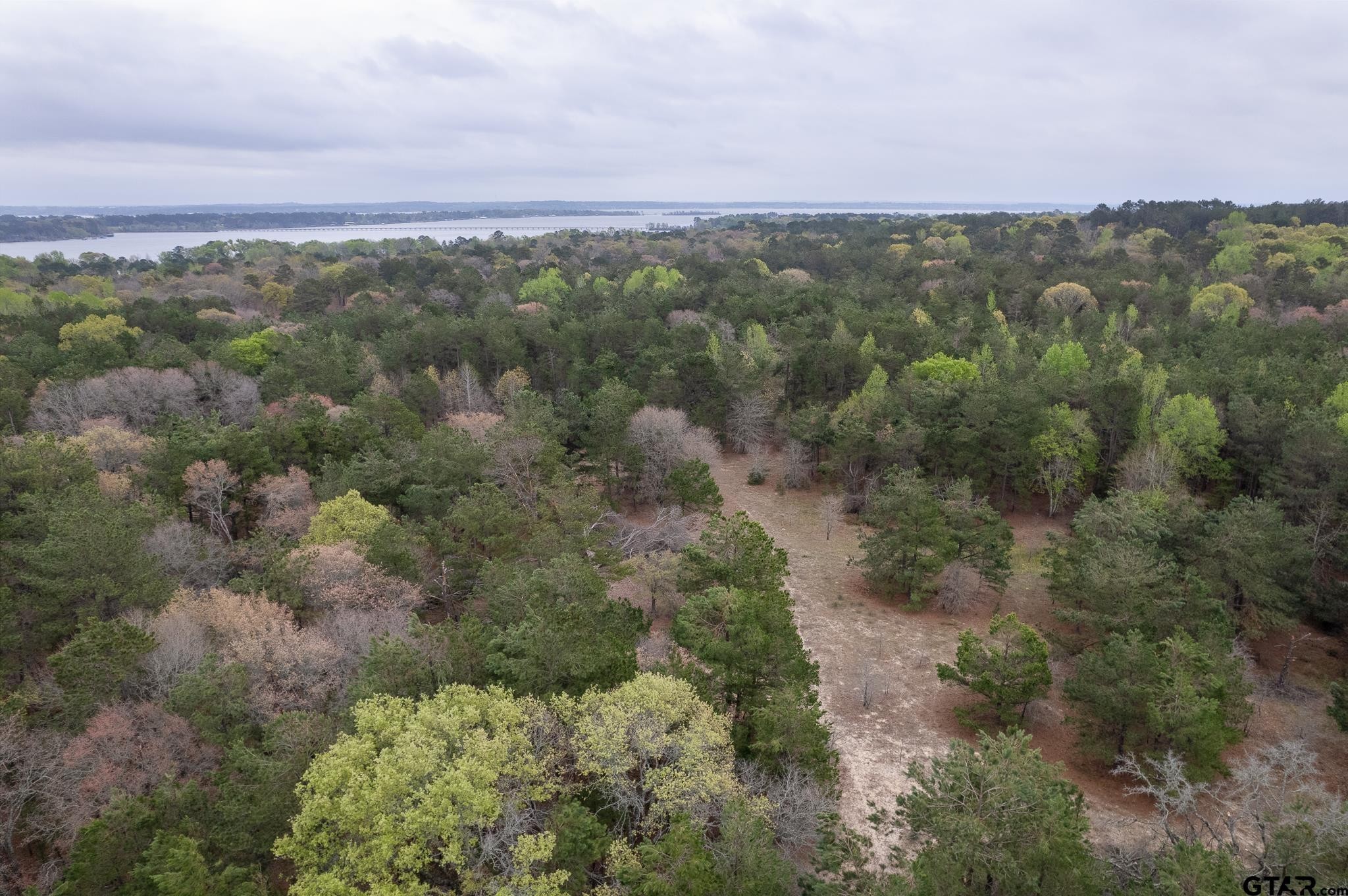 5. 3719 Pine Wood Way (South 10 Acres)