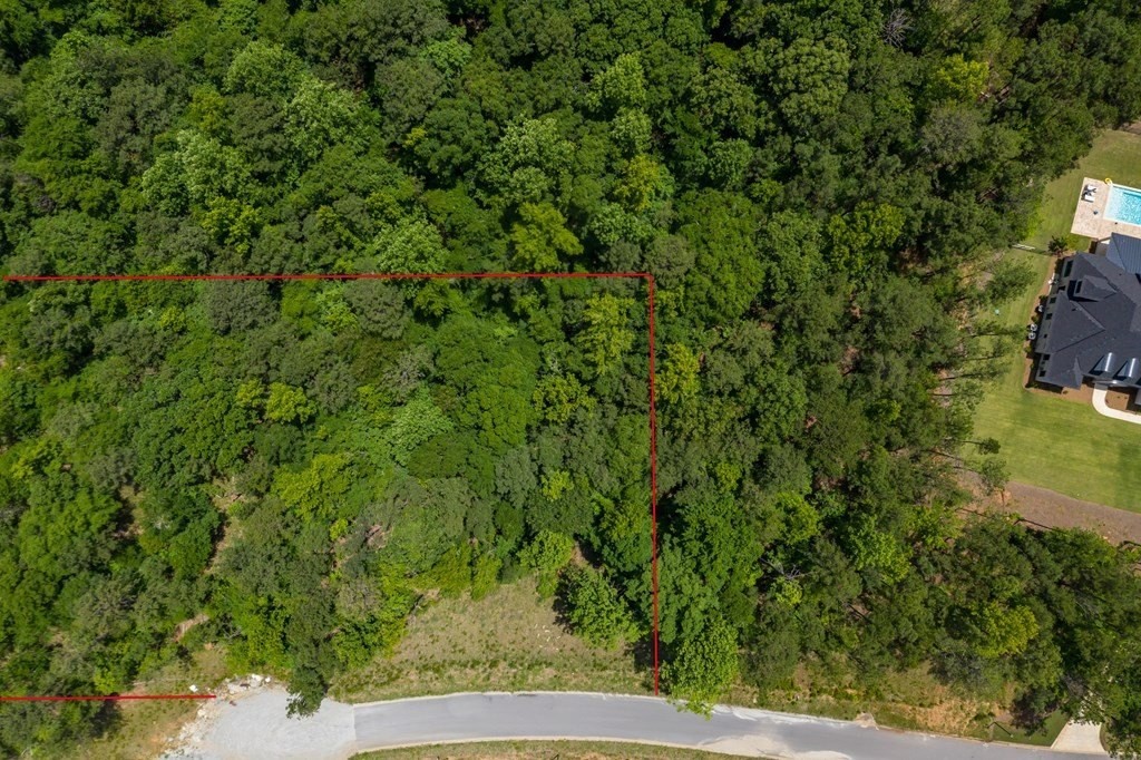 2. Lot 16 Lake Bright Drive