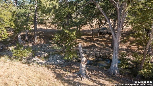 19. Lot 69 Sabinas Springs Rd