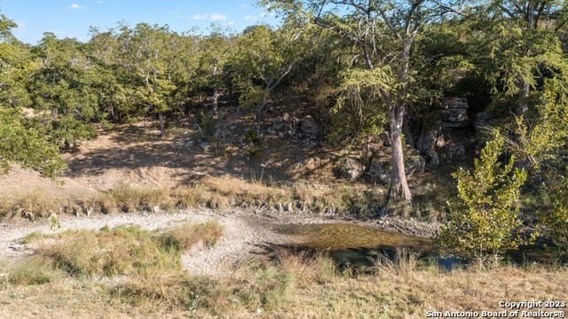 16. Lot 69 Sabinas Springs Rd