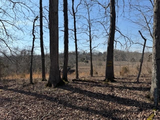 43. 347 Ac Lillydale Rd