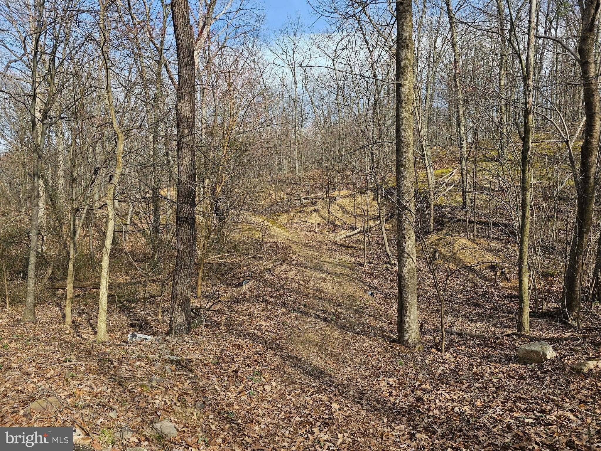 2. 50+- Acres Kaisesville Road