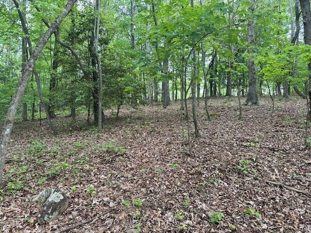 3. Lot 10 Clear Creek Preserve Way