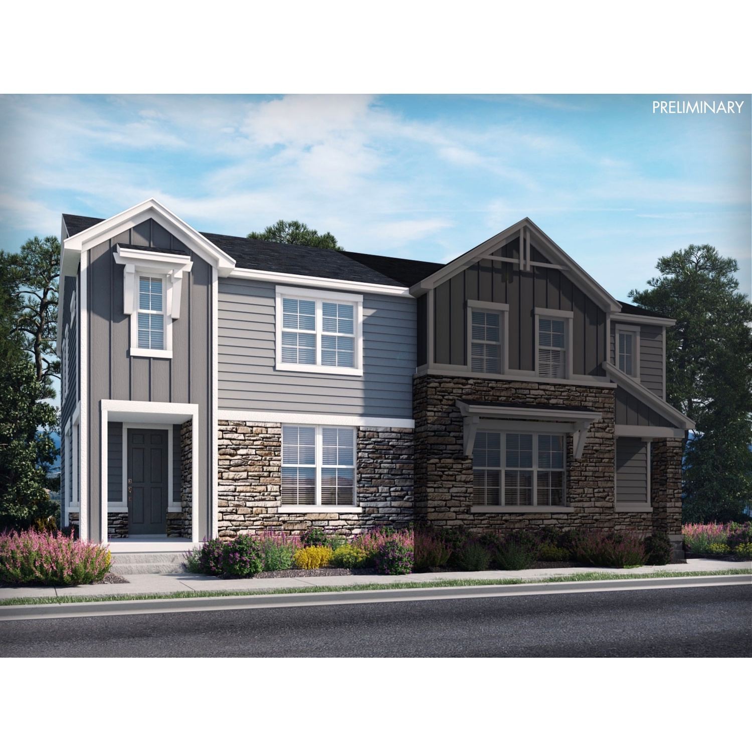 3. Prospect Village At Sterling Ranch: Paired Homes
