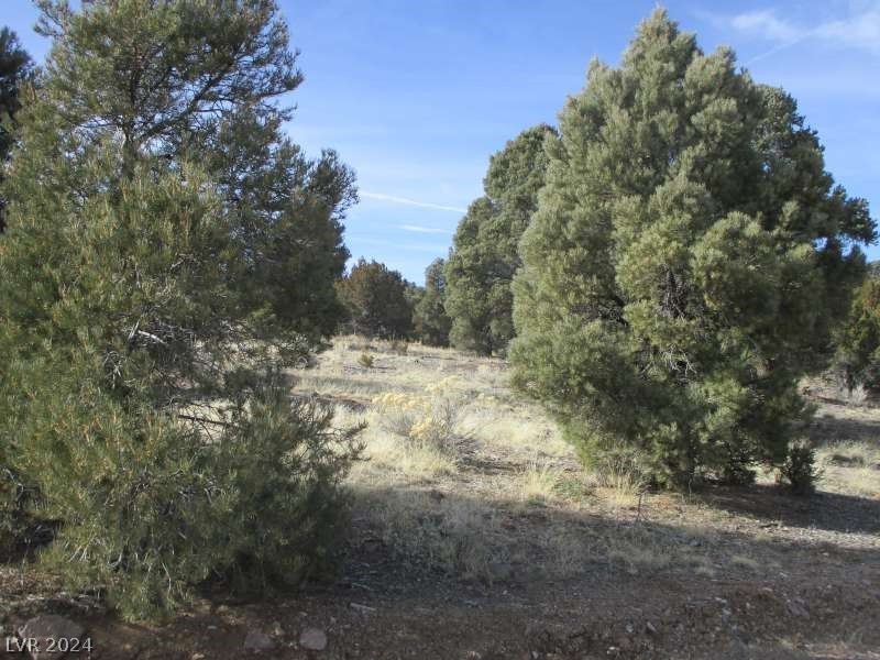 1. Nevada Hwy 322 (13.753 Ac)