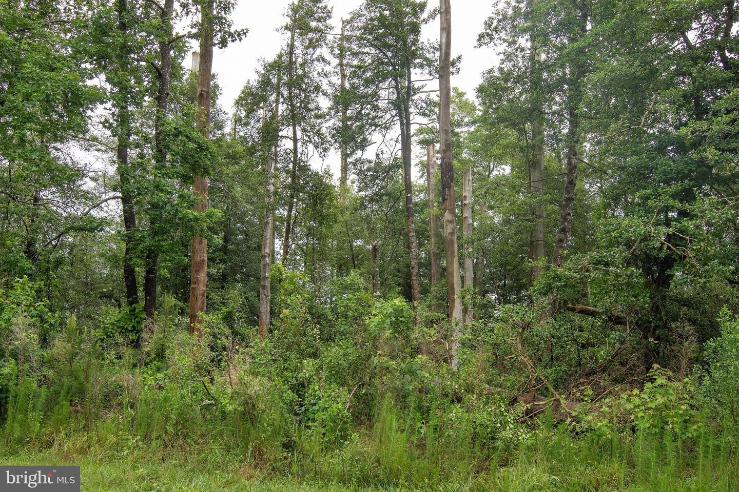 2. Lot 704 Castaway Dr