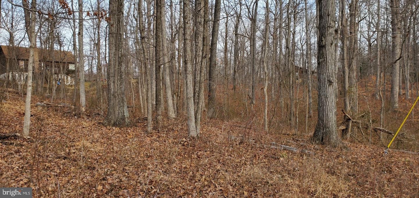 2. Lot 358 Western Ln