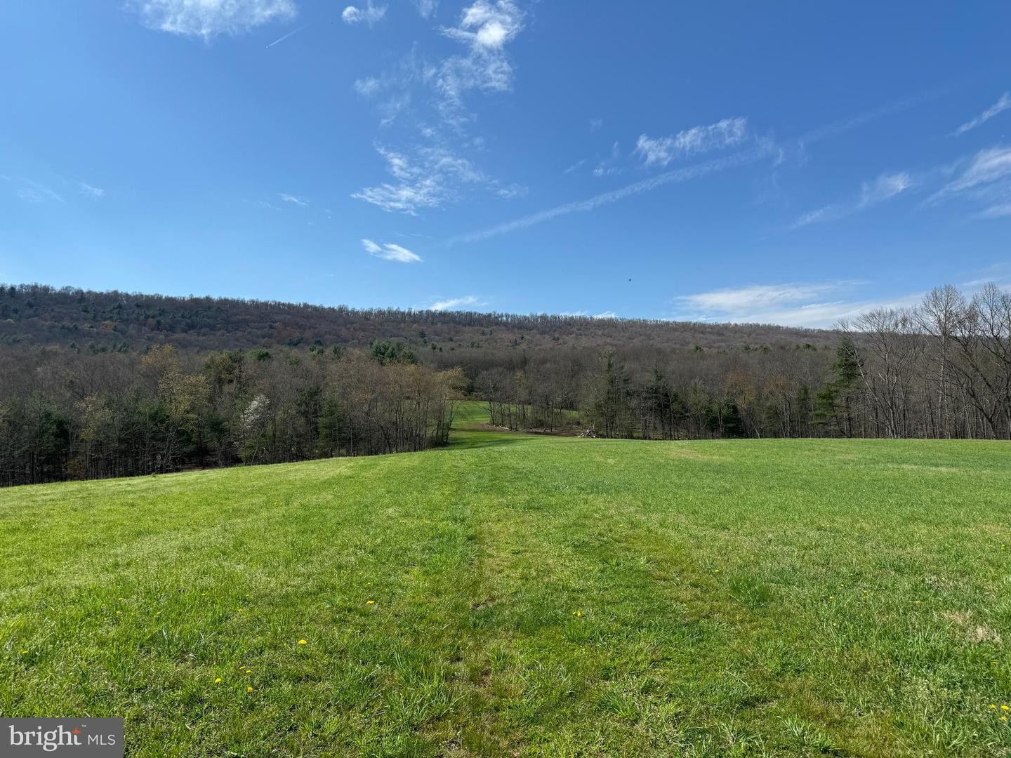 51. Tract 4: 17.48+/- Acres S Valley Rd