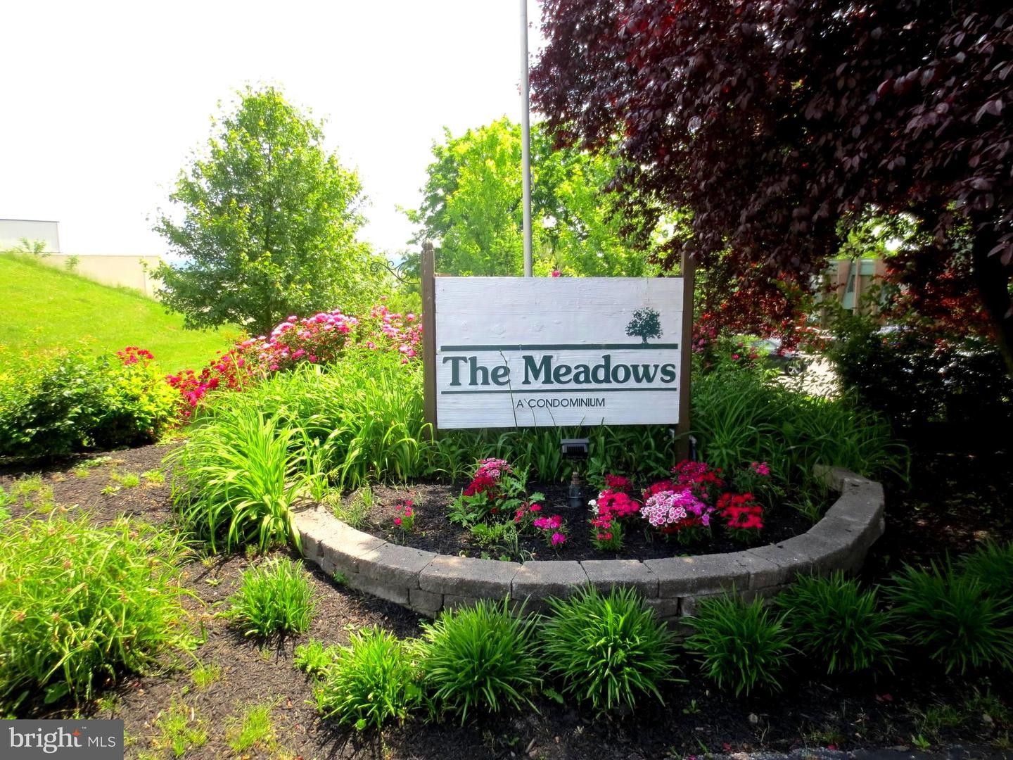 1. Meadowview Ln 