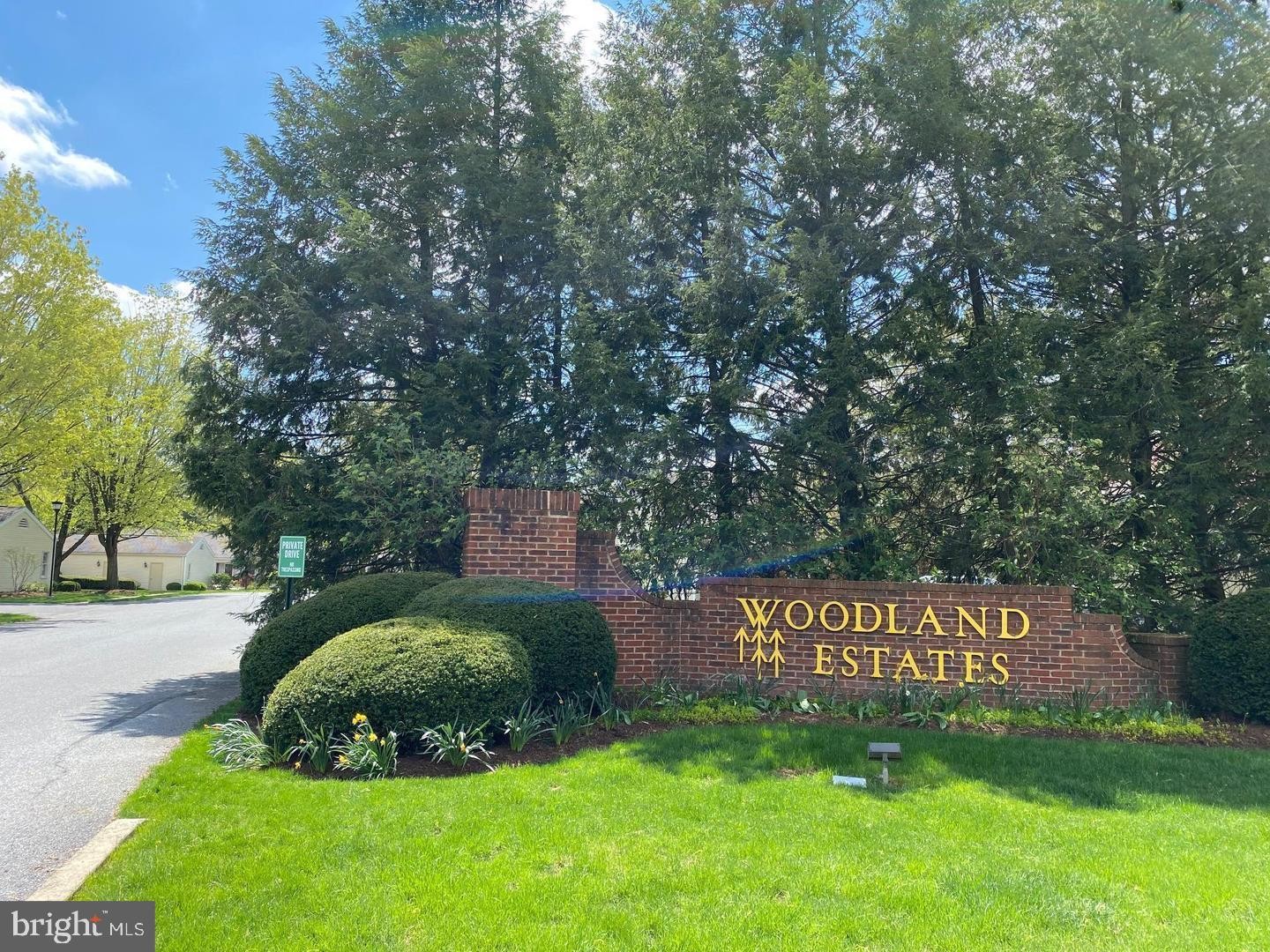 38. 10 Woodland Est