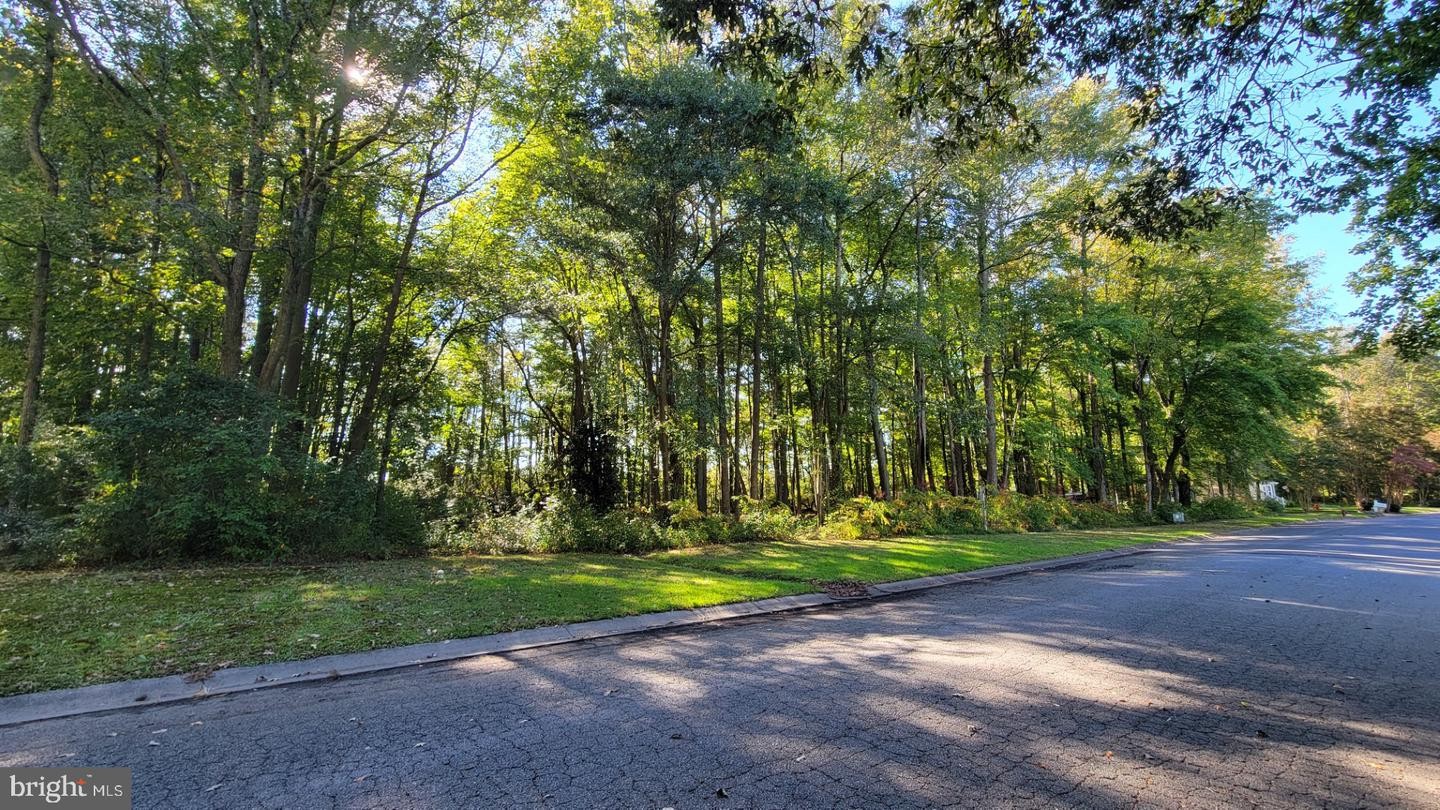 2. Lot 18 White Oak Ln