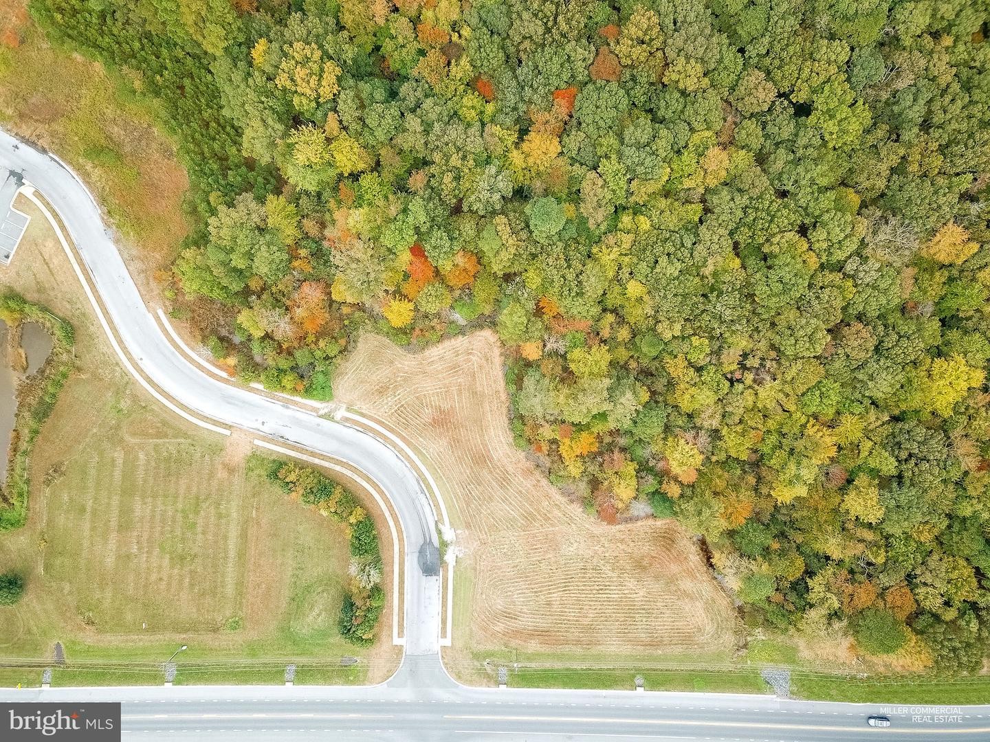 1. Stone Boundary Rd