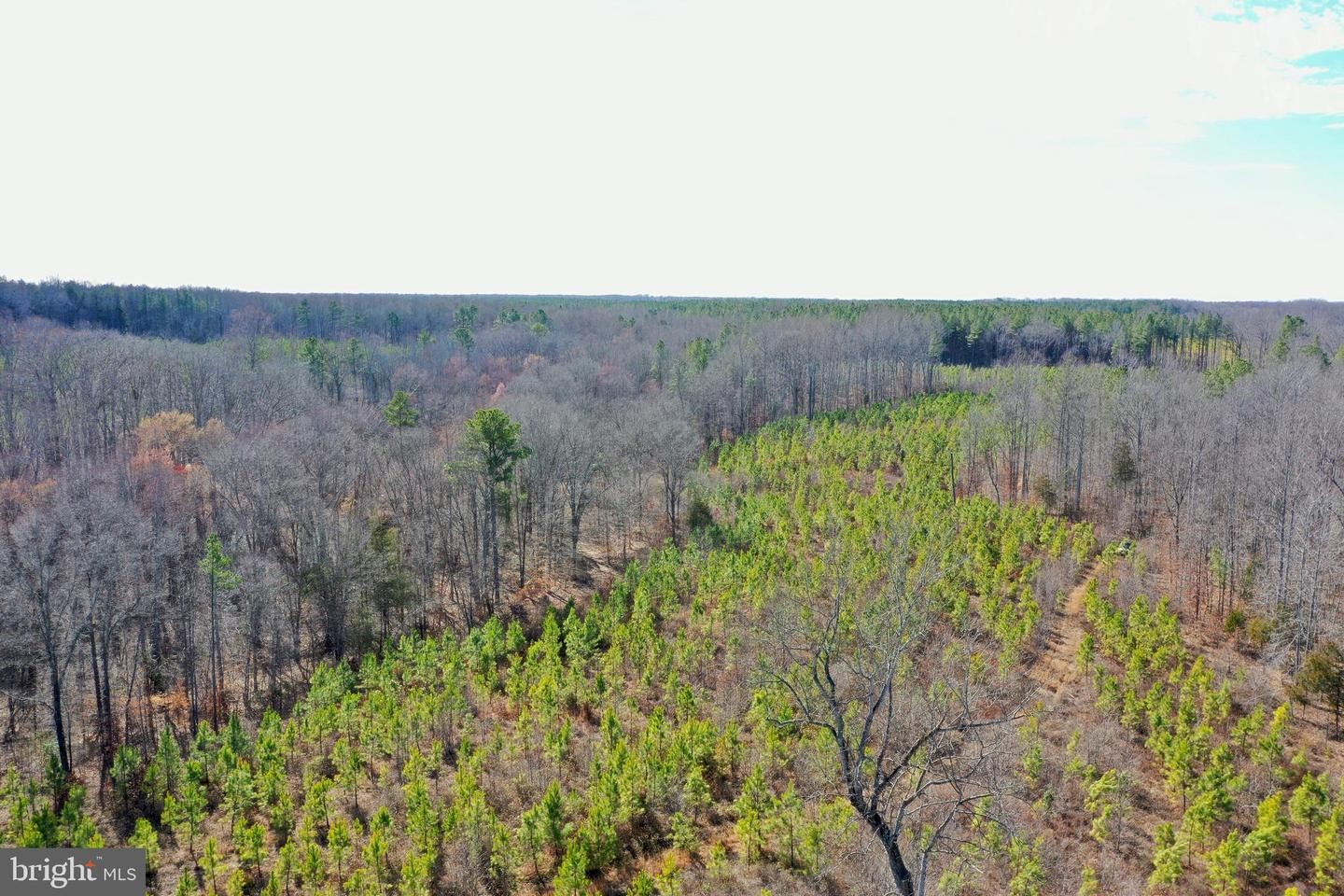19. Tbd Ancient Acres Rd