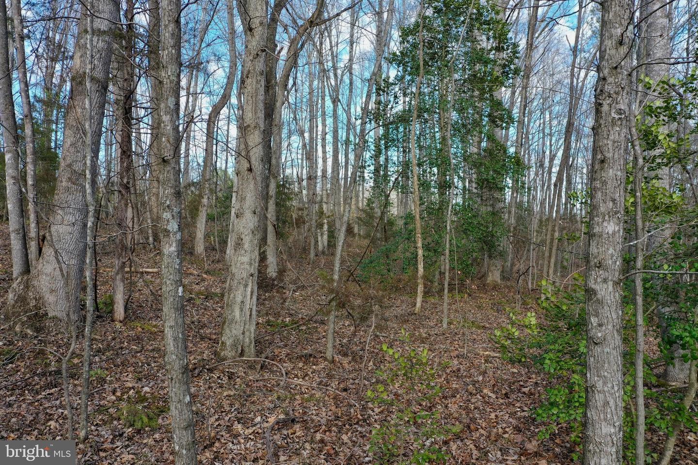 43. Tbd Ancient Acres Rd