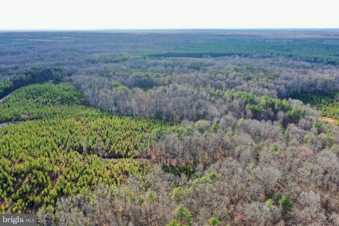 25. Tbd Ancient Acres Rd