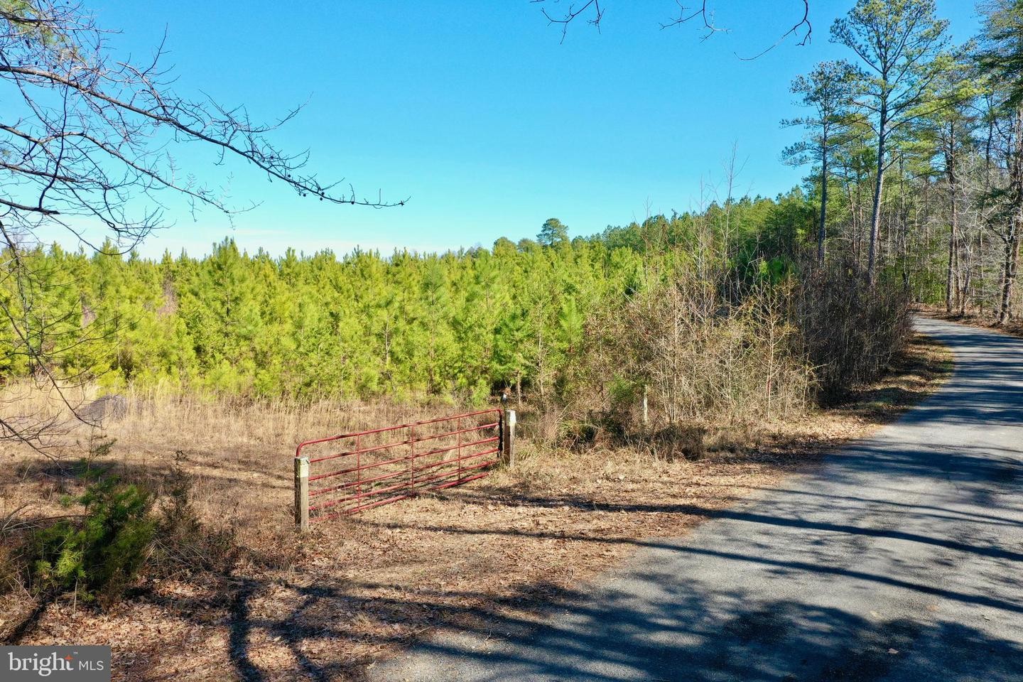 12. Tbd Ancient Acres Rd