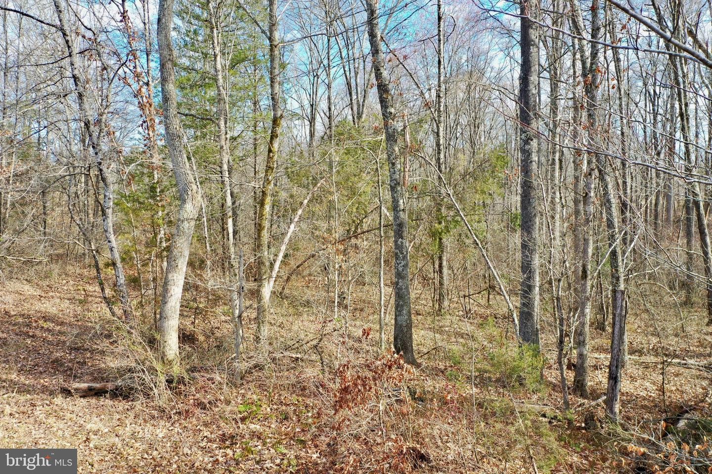 40. Tbd Ancient Acres Rd