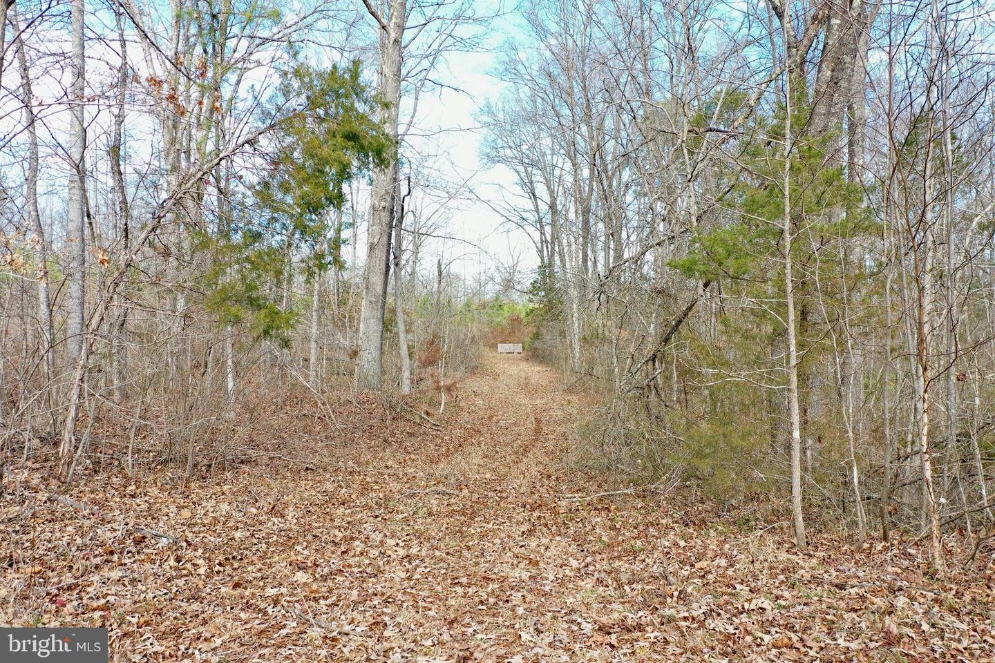 39. Tbd Ancient Acres Rd