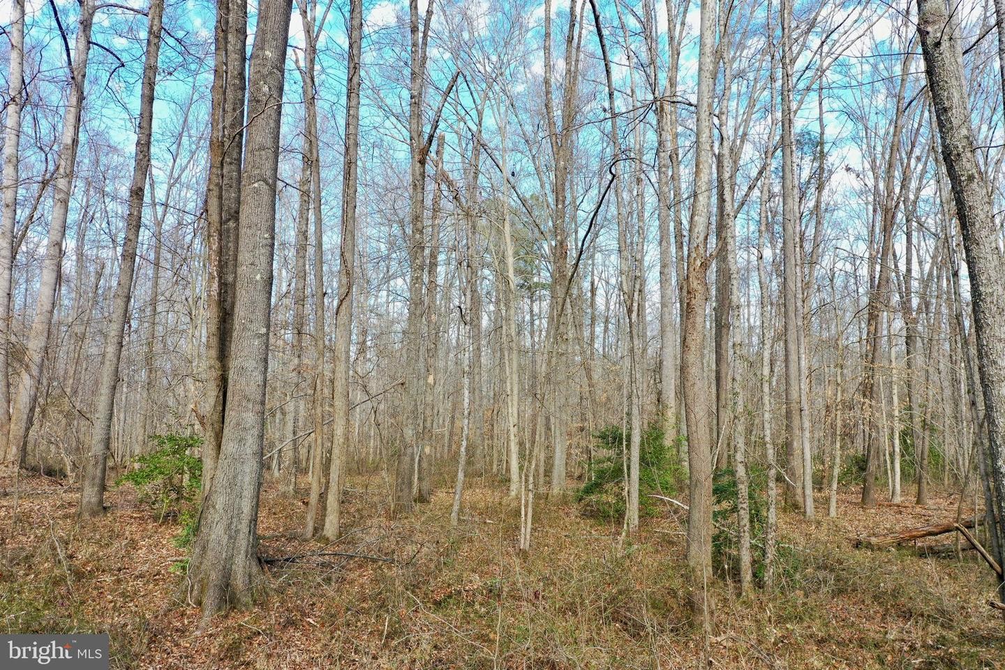 37. Tbd Ancient Acres Rd