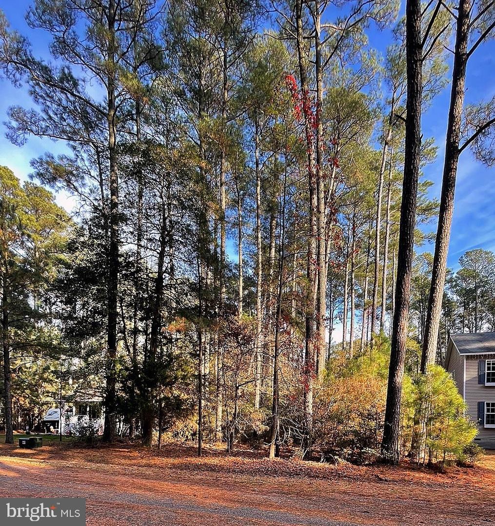 4. Lot 502 Driftwood Dr