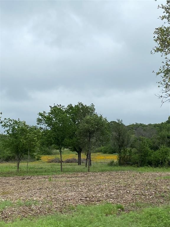 7. Lot 26 Indian Springs Cr633
