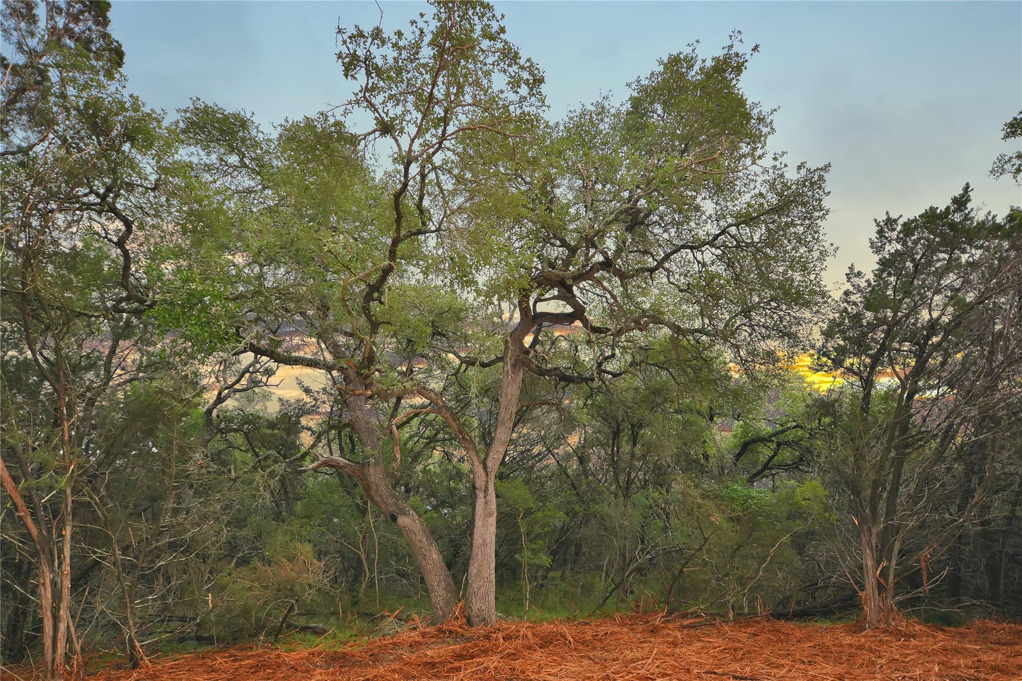 2. Lot 17 Sierra Loma Dr