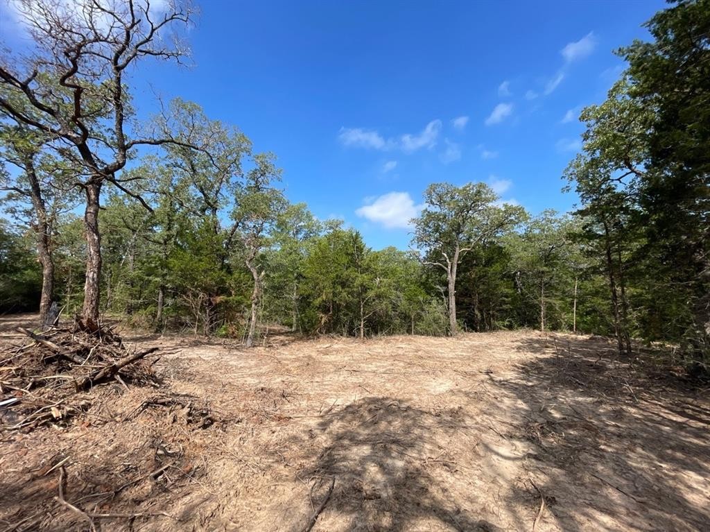 9. 000 County Road 306 (Tract 9, 11.262 Ac)