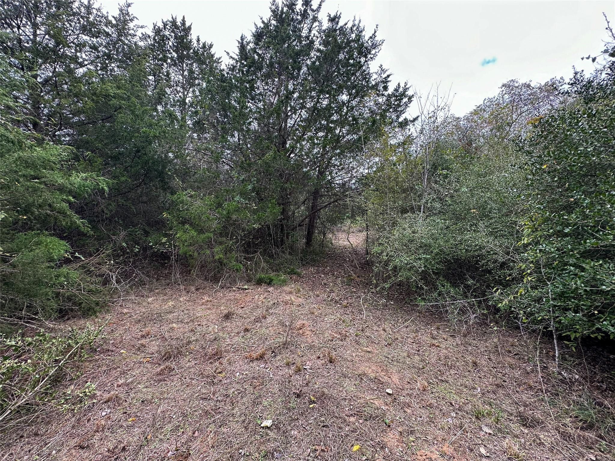 3. Lot 14-15 Alta Vista Dr