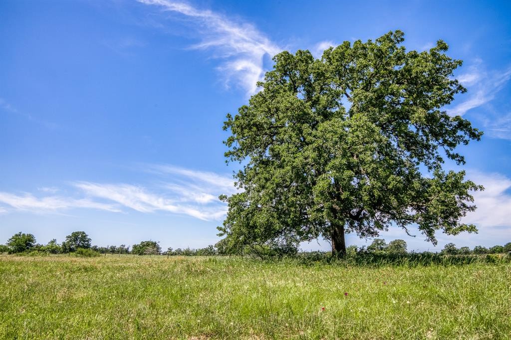 9. Tbd (170 Acres) County Road 423