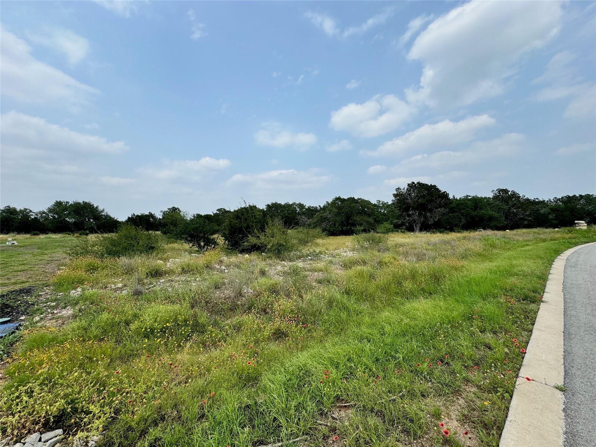 2. Lot 72 Mountain Laurel Ln