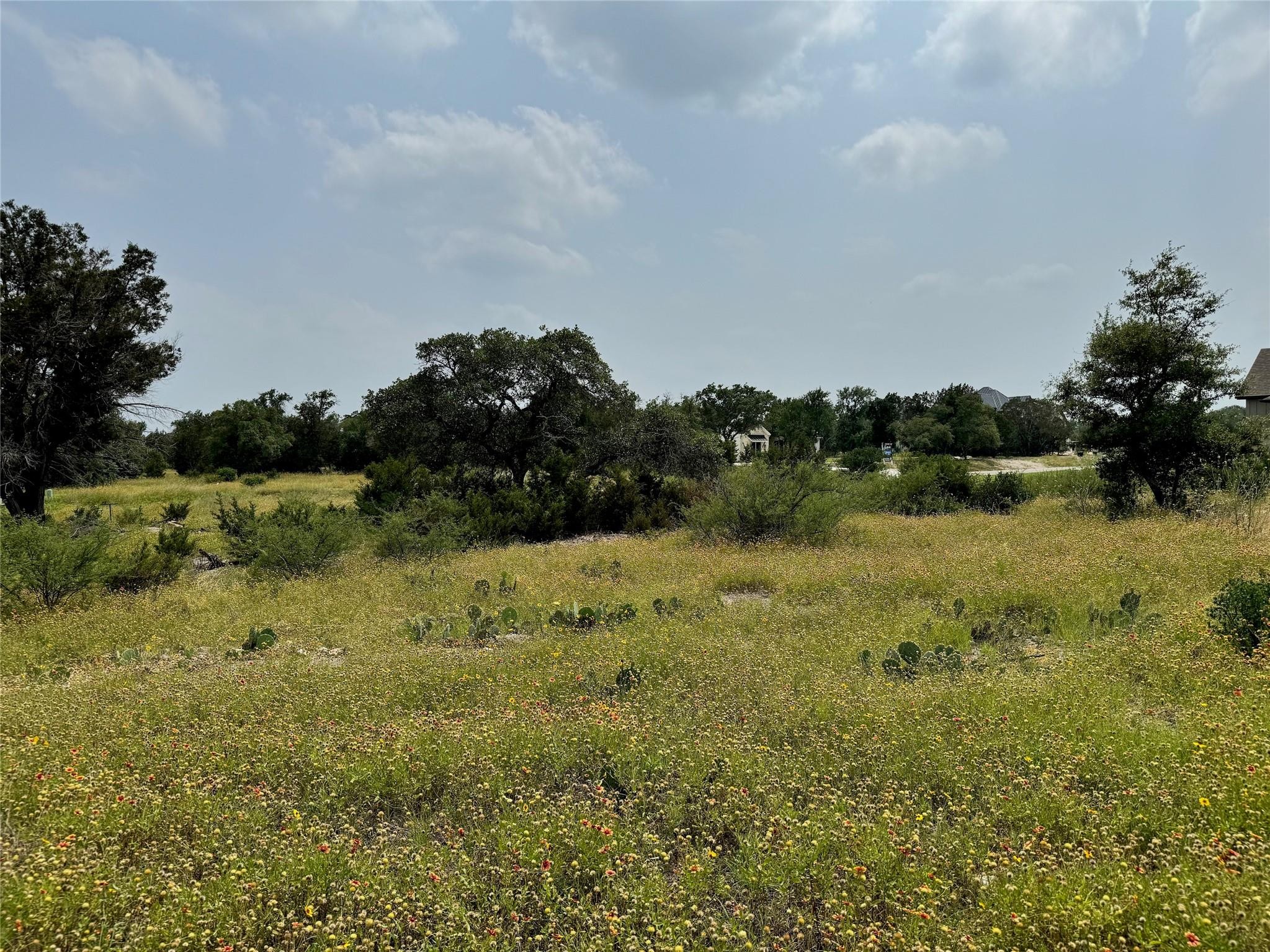 1. Lot 72 Mountain Laurel Ln