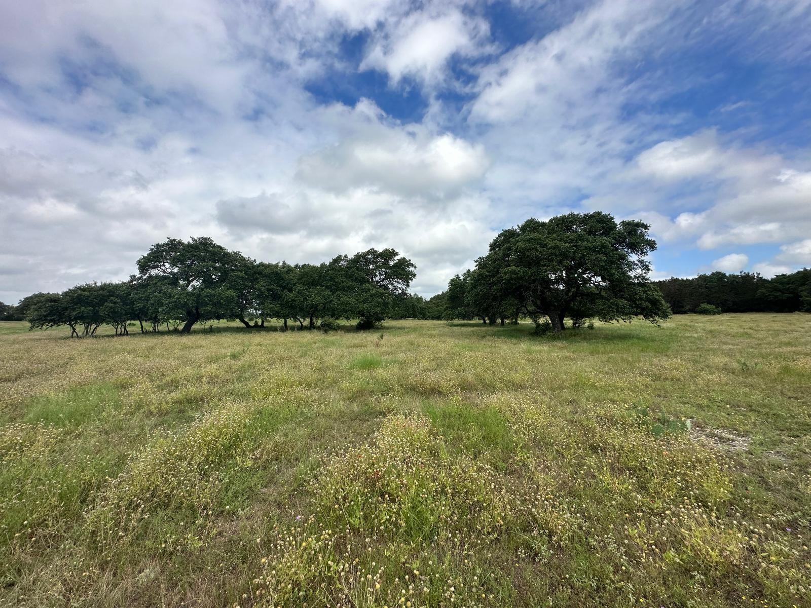 2. Tbd Lot 4 - County Road 340