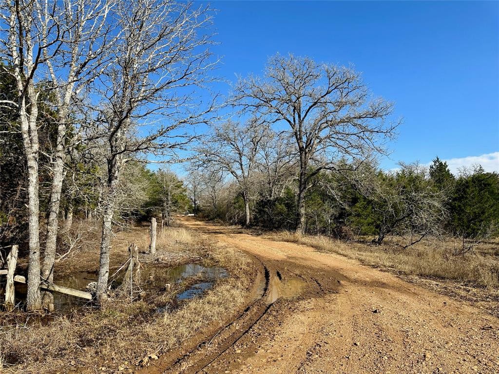 17. Lot 2 Fm 2104 Highway