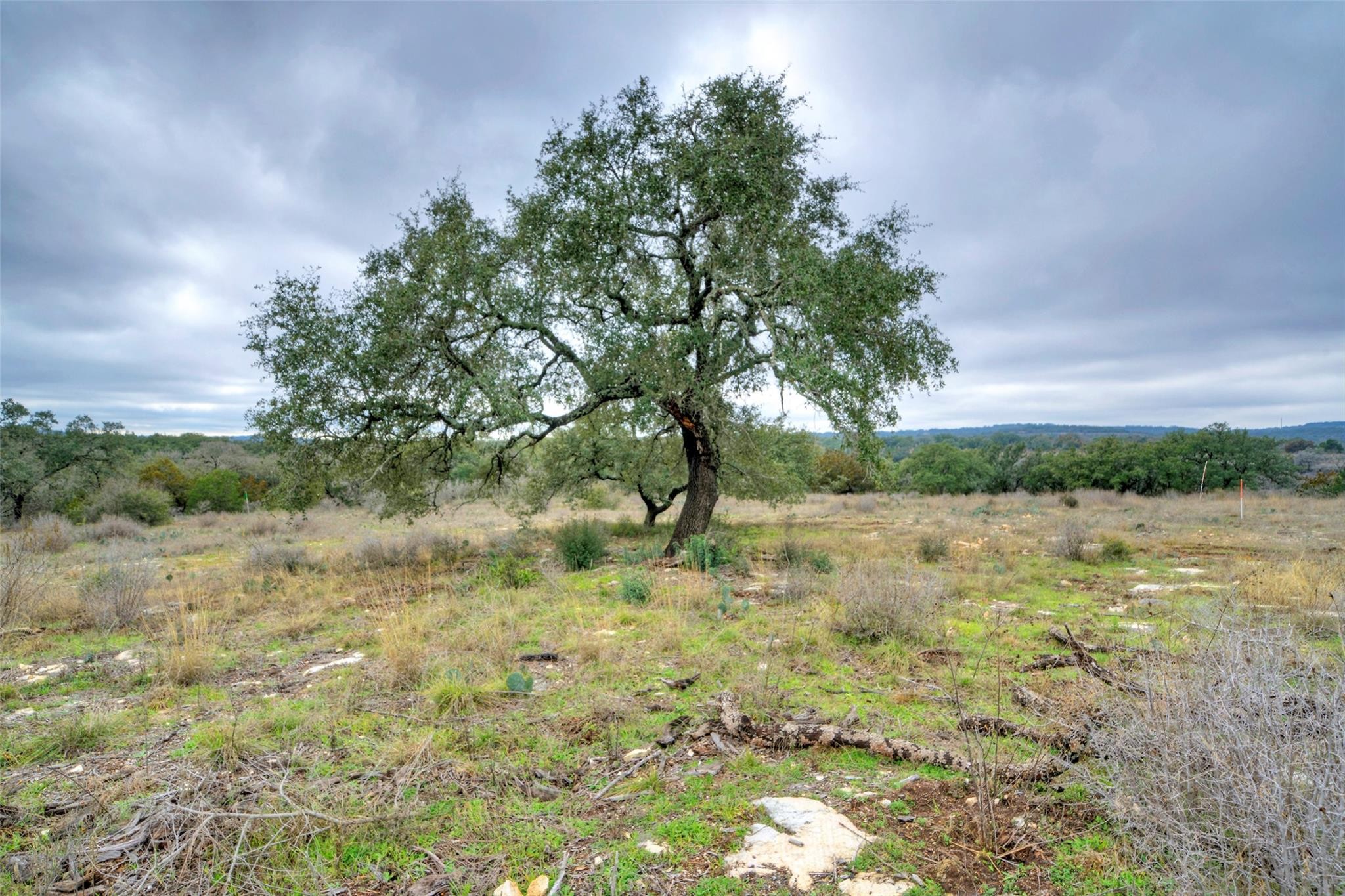 10. 4 Pedernales Canyon Trl