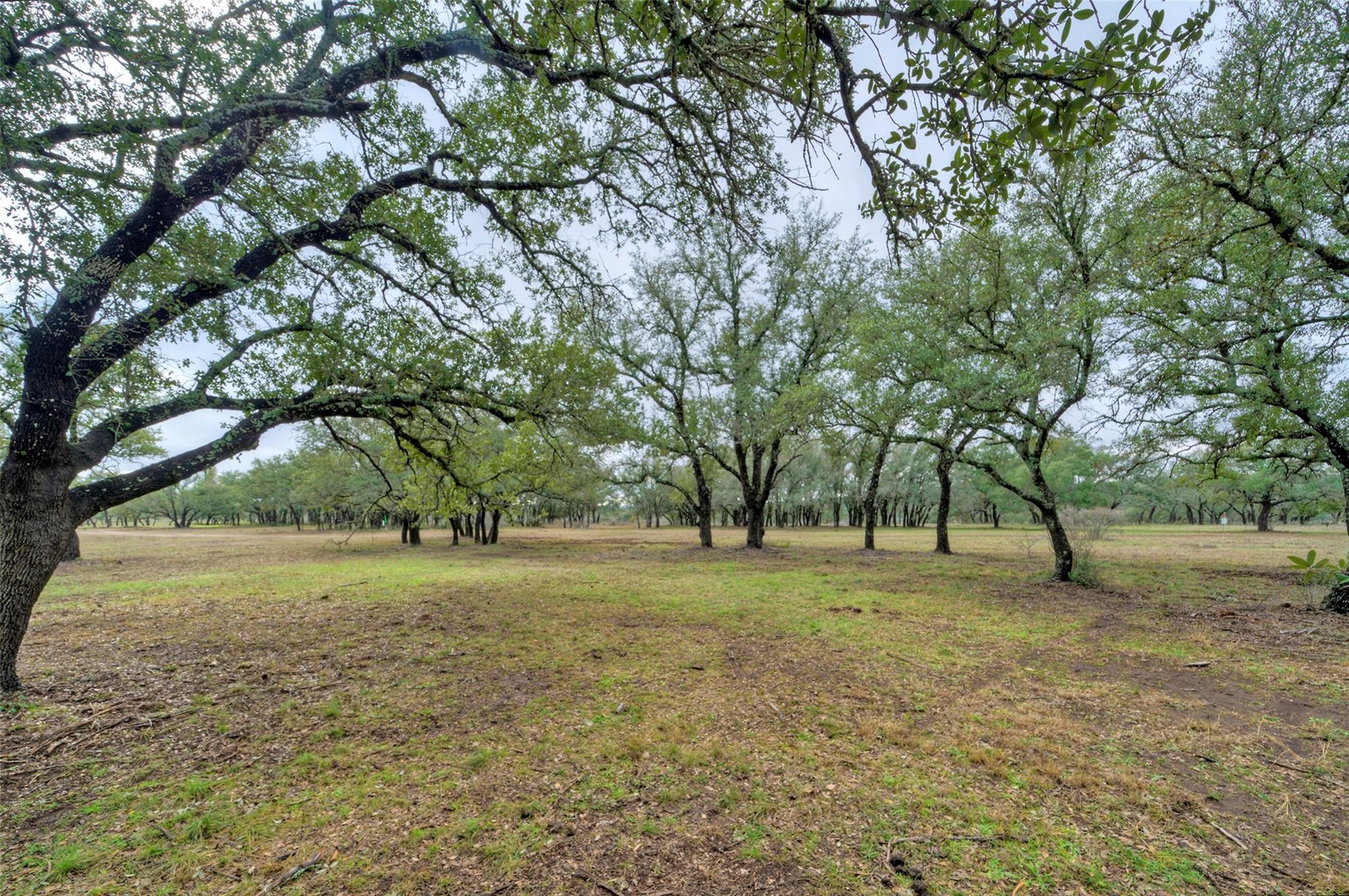 8. 4 Pedernales Canyon Trl