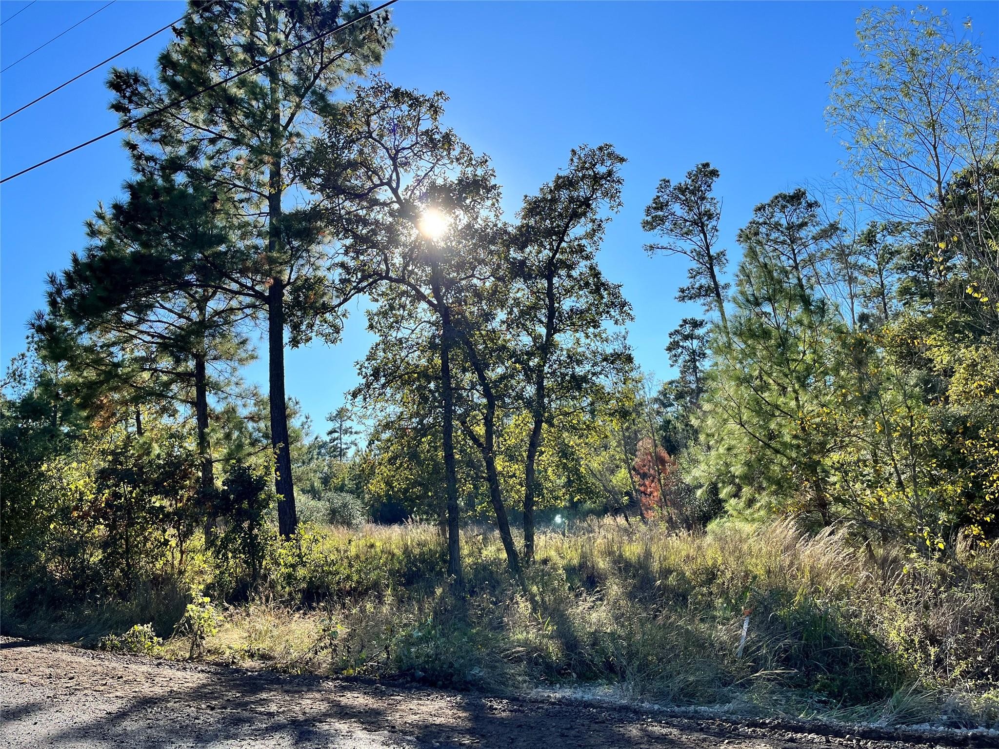 1. Lot 1511 Haleakala Ln