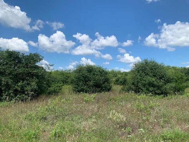 2. Tbd - Lot 9 Colovista Dr