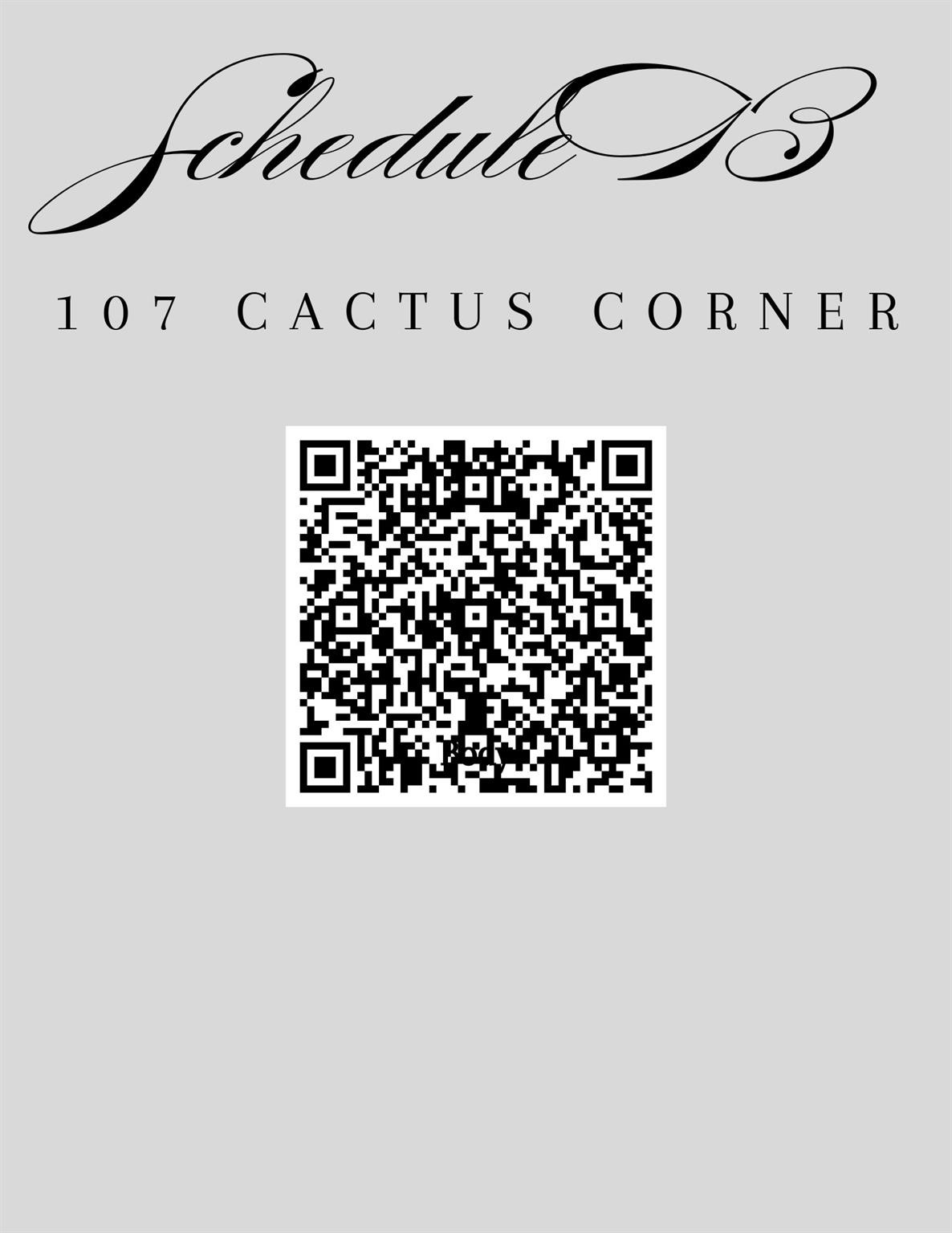 5. 107 Cactus Cor