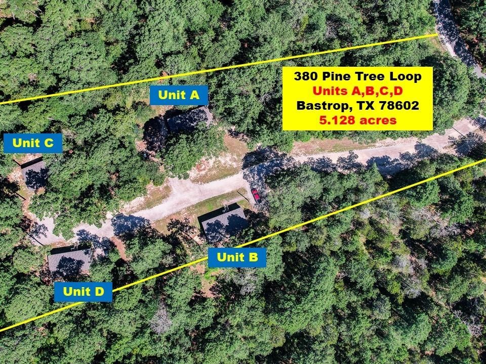 1. 380 Pine Tree Loop
