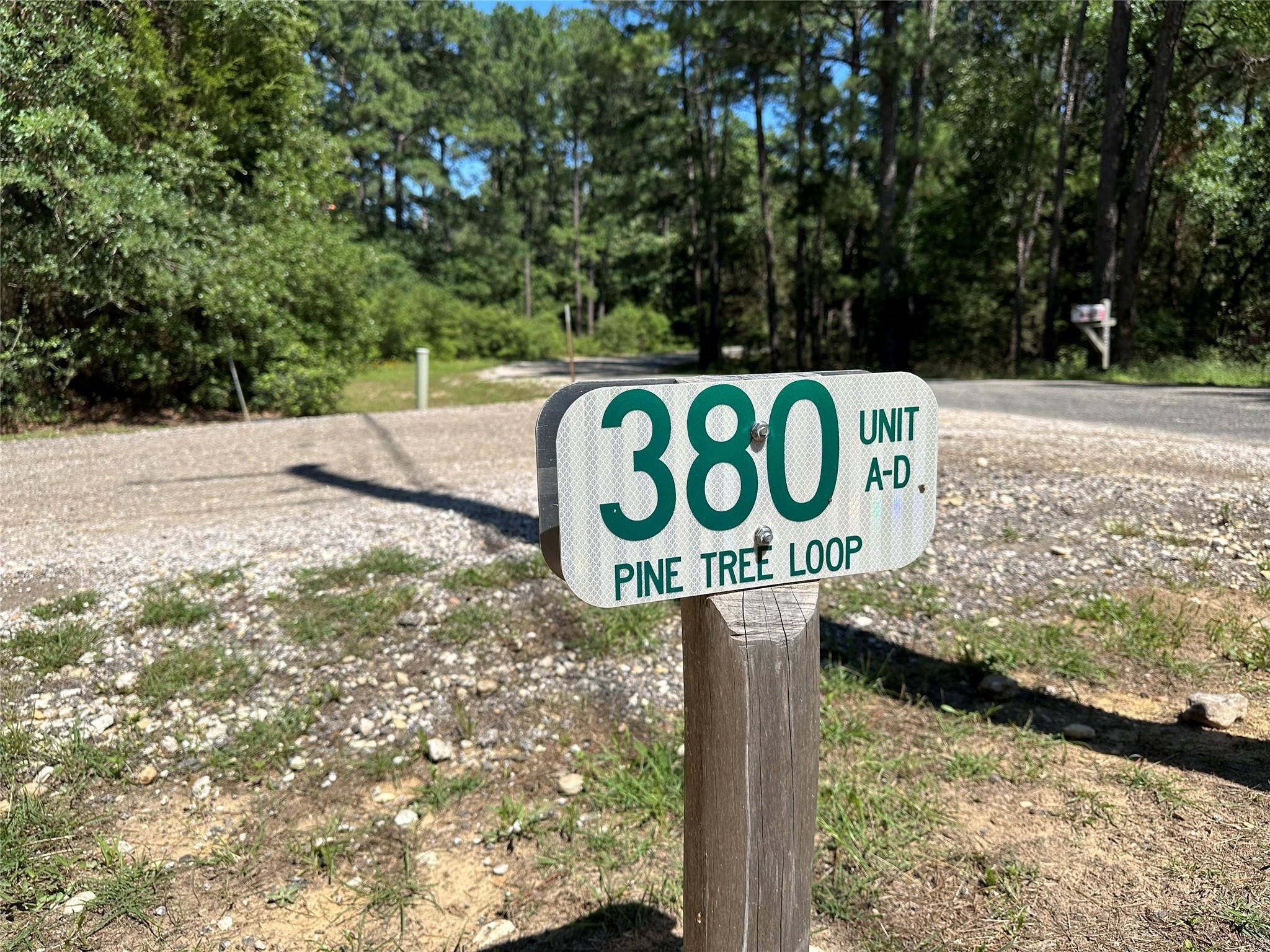 2. 380 Pine Tree Loop