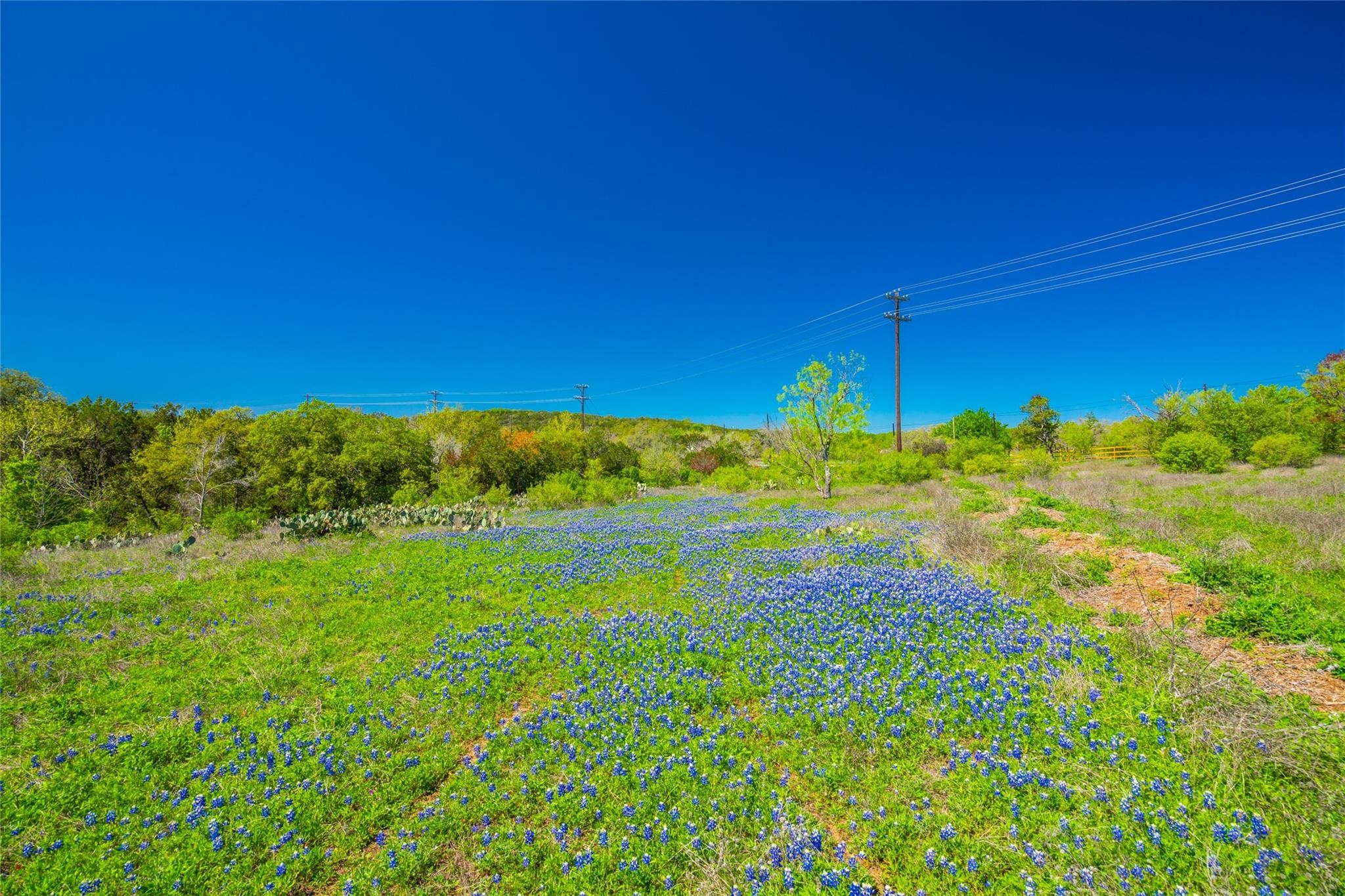 8. Tbd Paleface Ranch Rd